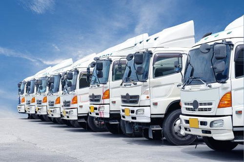 網(wǎng)絡(luò)貨運(yùn)申報成本高企與合規(guī)之路 百萬門檻與程序迷宮的挑戰(zhàn)